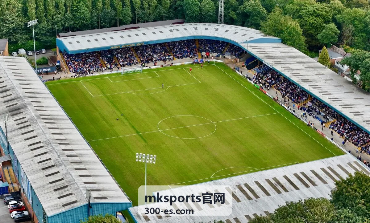 mksports官网 跑鞋中底参数说明图