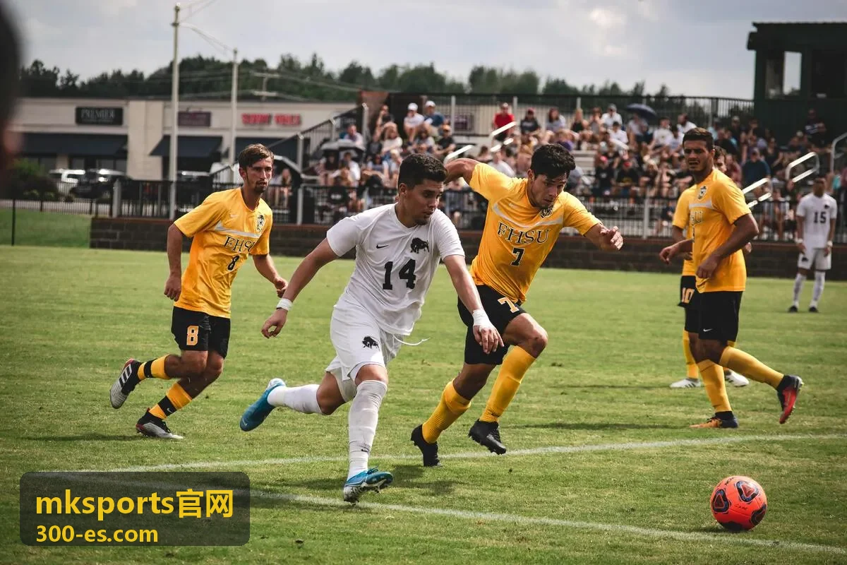 mksports官网 篮球鞋抗扭转结构图