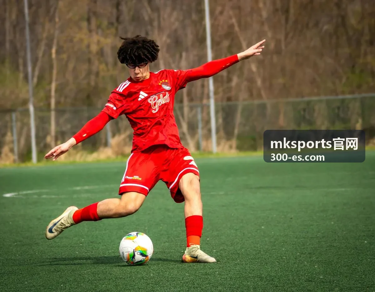 mksports官网转会与注册规则说明图
