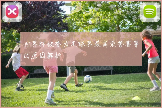 世界杯被誉为足球界最高荣誉赛事的原因解析