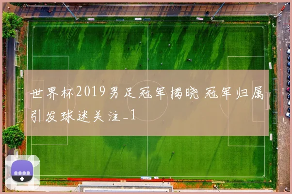 世界杯2019男足冠军揭晓 冠军归属引发球迷关注_1