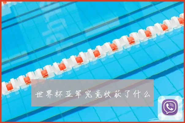 世界杯亚军究竟收获了什么
