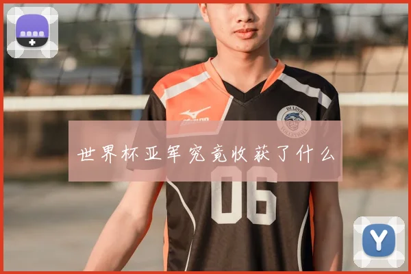 世界杯亚军究竟收获了什么